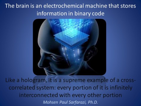 brain as a hologram